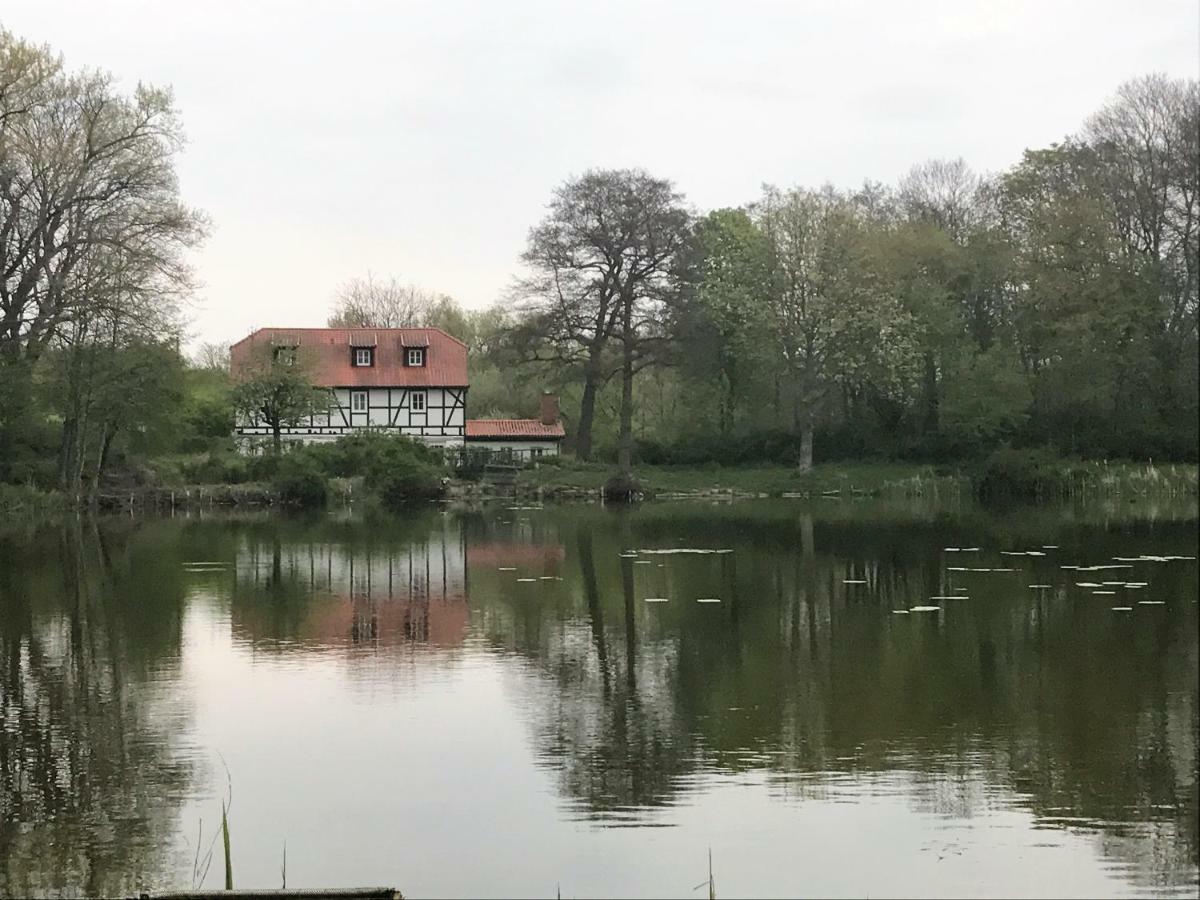 Ferienwohnung Hoppelnase Mit Eigener Sauna Langenstein Bagian luar foto