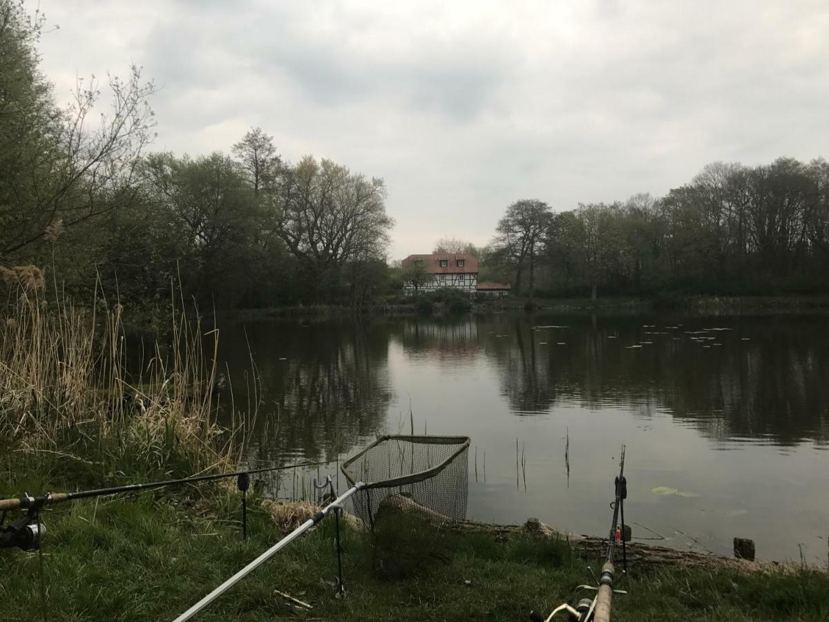 Ferienwohnung Hoppelnase Mit Eigener Sauna Langenstein Bagian luar foto